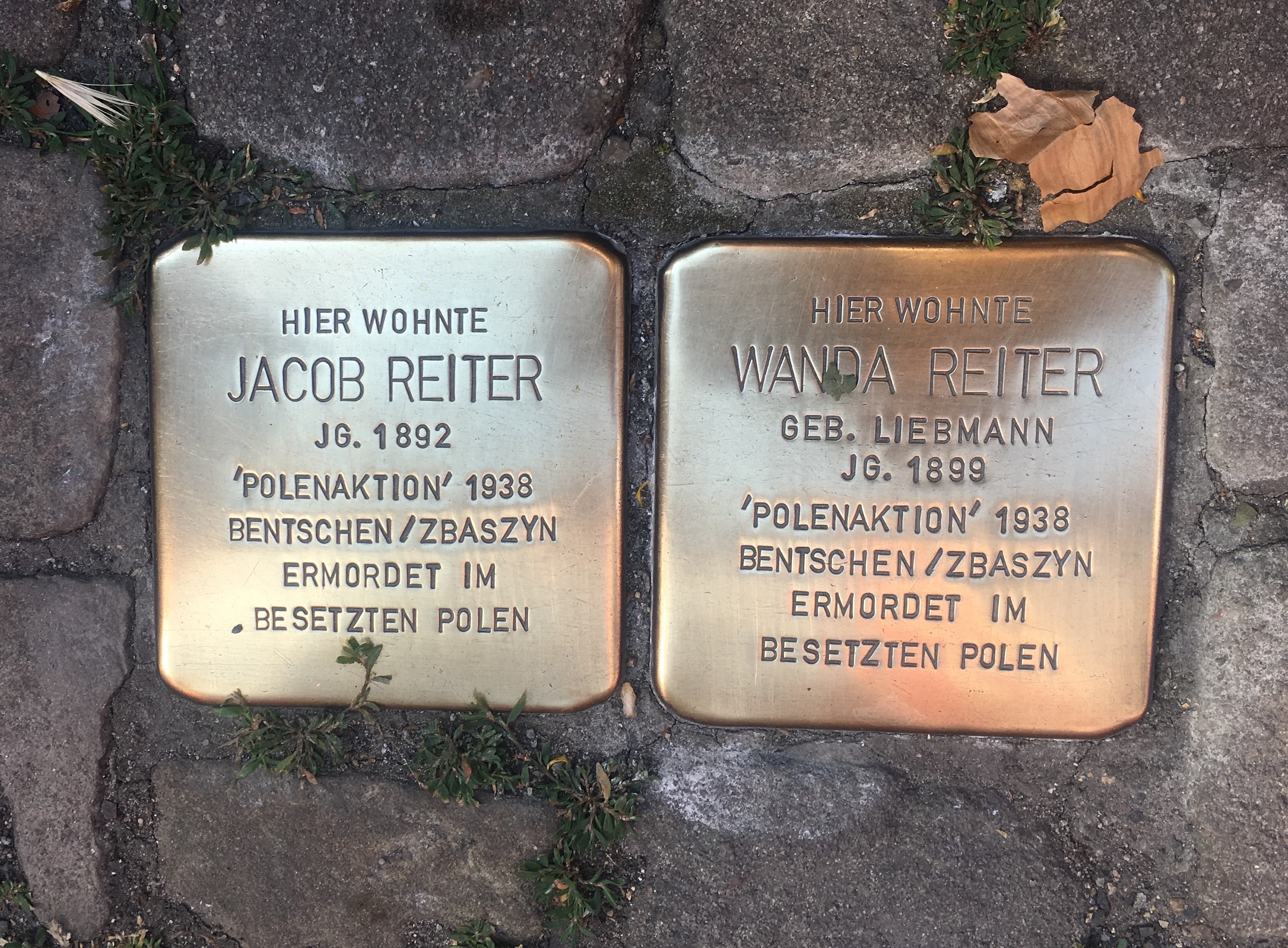 ID: Two gold plaques placed in a cobblestone sidewalk.